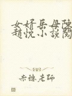 女婿岳母陈超,赵悦小说阅读