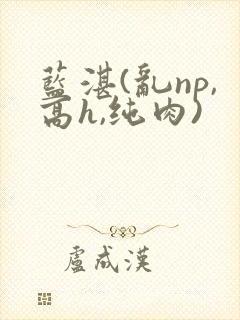 蓝湛(乱np,高h,纯肉)