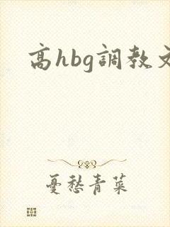 高hbg调教文