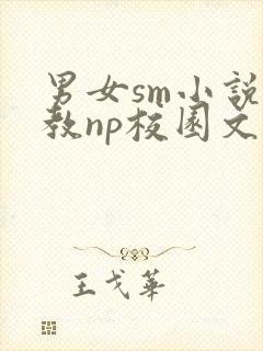 男女sm小说调教np校园文封面