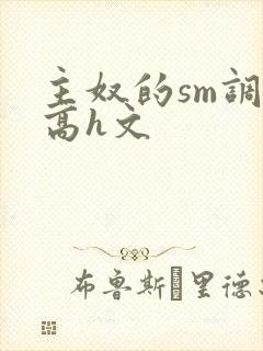 主奴的sm调教高h文