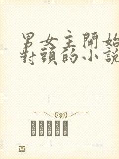 男女主开始是死对头的小说