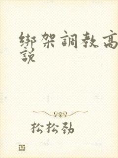 绑架调教高h小说封面