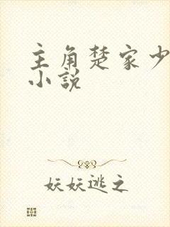 主角楚家少爷的小说