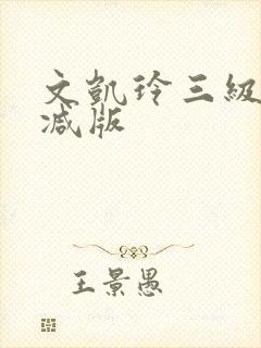 文凯玲三级无删减版