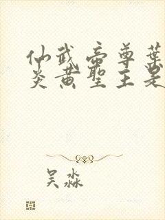 仙武帝尊叶辰和炎黄圣主是什么关系封面