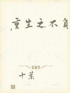 重生之不负韶华'封面