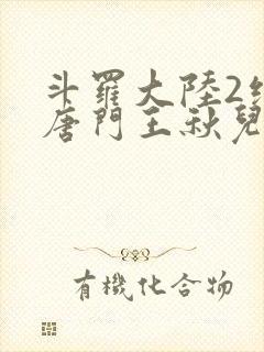 斗罗大陆2绝世唐门王秋儿封面