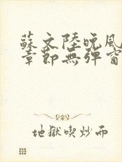 苏文陆晚风最新章节无弹窗笔趣阁