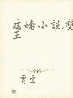 病娇小说,双男主