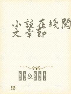 小说在线阅读全文章节