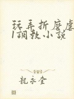 玩弄折磨虐女91调教小说