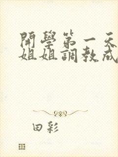 开学第一天就被姐姐调教成狗(sm,1v1,校园h)