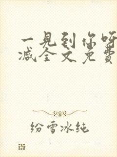 一见到你呀无删减全文免费阅读