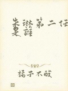 朱琳第二任丈夫是谁