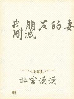 我朋友的妻子无删减封面