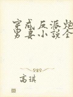 穿成反派炮灰的男妻小说全文阅读