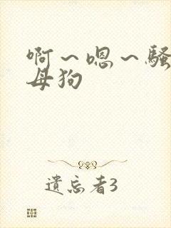 啊～嗯～骚货～母狗封面