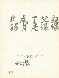 我成了父亲妻子的月老深绿封面