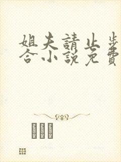 姐夫请止步乔百合小说免费阅读