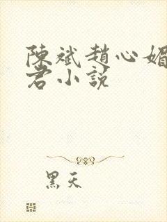 陈斌赵心媚高婉君小说封面