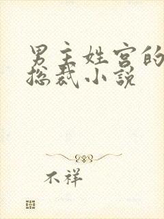 男主姓宫的现代总裁小说