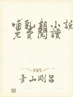 哺乳期小说全文免费阅读封面