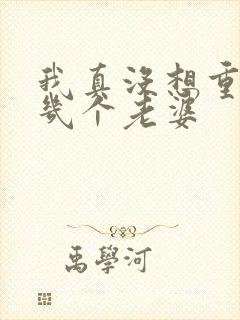 我真没想重生啊几个老婆