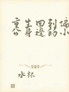 重生回到偏执老公身边的小说封面