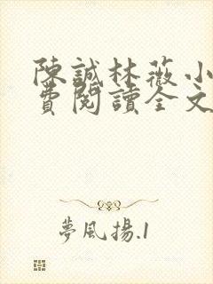 陈诚林薇小说免费阅读全文最新章节