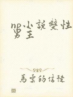 np小说双性双男主