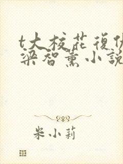 t大校花复仇记梁智薰小说