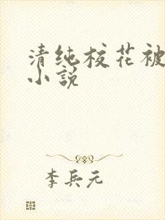 清纯校花被调教小说