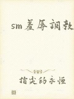 sm羞辱调教文