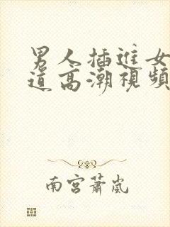 男人插进女人阴道高潮视频