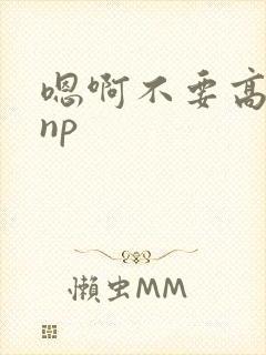 嗯啊不要高h np封面