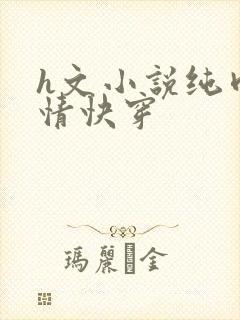 h文小说纯肉剧情快穿