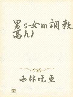 男s女m调教(高h)