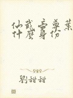 仙武帝尊叶辰是什么身份封面