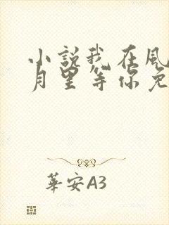 小说我在风花雪月里等你免费阅读封面