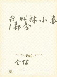我叫林小喜全文1部分