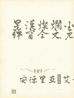 星汉灿烂小说无弹窗全文免费阅读