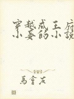 穿越成王府炮灰小妾的小说