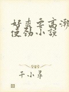 好爽要高潮了快使劲小说