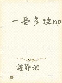 一受多攻np受