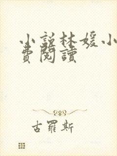 小说林媛小正免费阅读