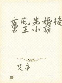 古风先婚后爱双男主小说