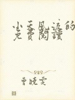 小天风流的小说免费阅读