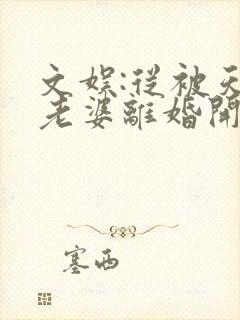 文娱:从被天后老婆离婚开始阅读全文全文