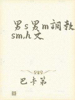 男s男m调教(sm,h文